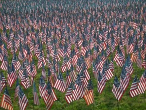 This sea of flags was from Somers, Connecticut a few years ago. Each stands for a fallen soldier.